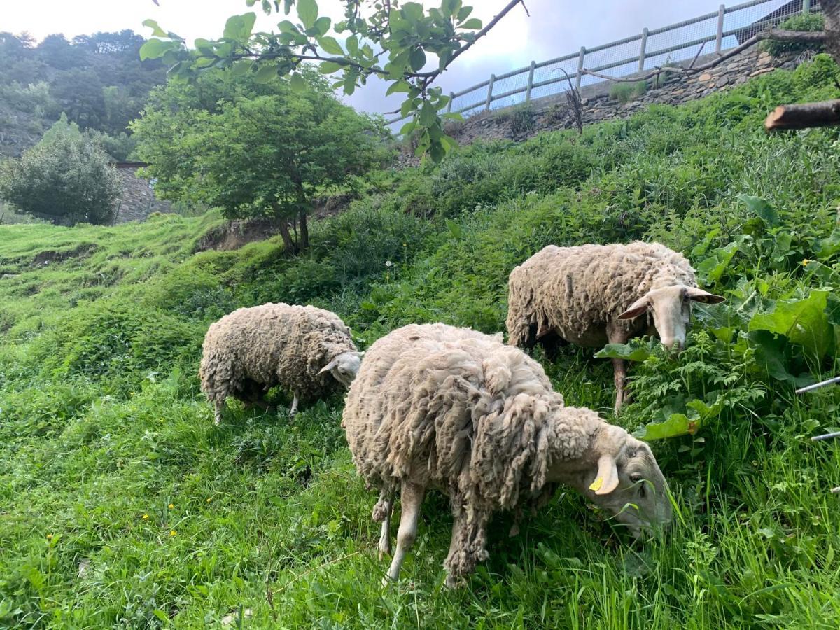 Apartmán Siscaro - Peu Del Riu 310 - Vall D'Incles - Soldeu Exteriér fotografie